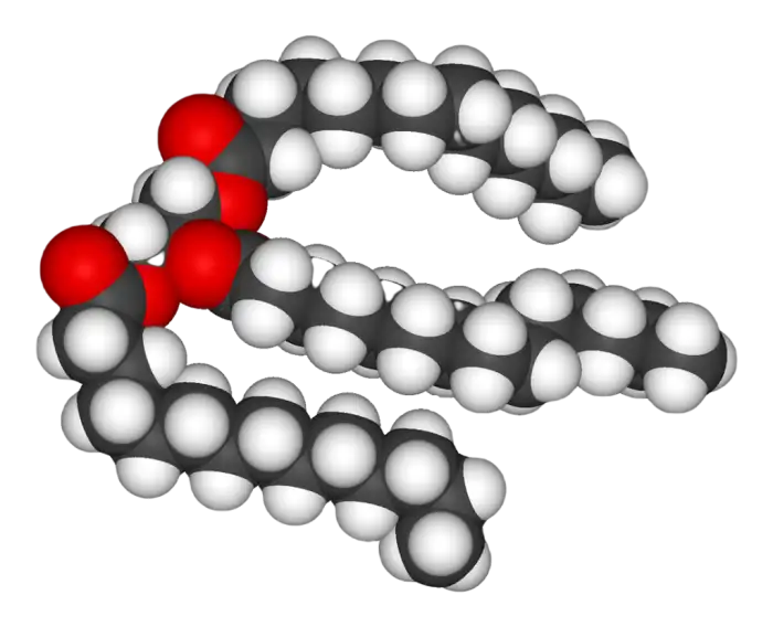 Search for valves for the working media «Fats (vegetable, animal)»