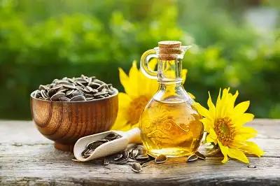 Search for valves for the working media «Vegetable oil»