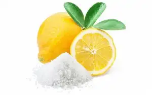 Search for valves for the working media «Citric acid»
